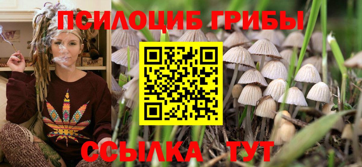 Галлюциногенные грибы GOLDEN TEACHER  Вход с VPN  Алушта 